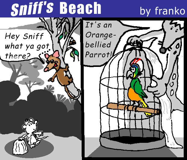 Sniff is a chuditch. Peppy is a western ringtail possum. They don't understand politics, economic booms, tourist trappings. They just understand that they have to do something to save Sniff's Beach.